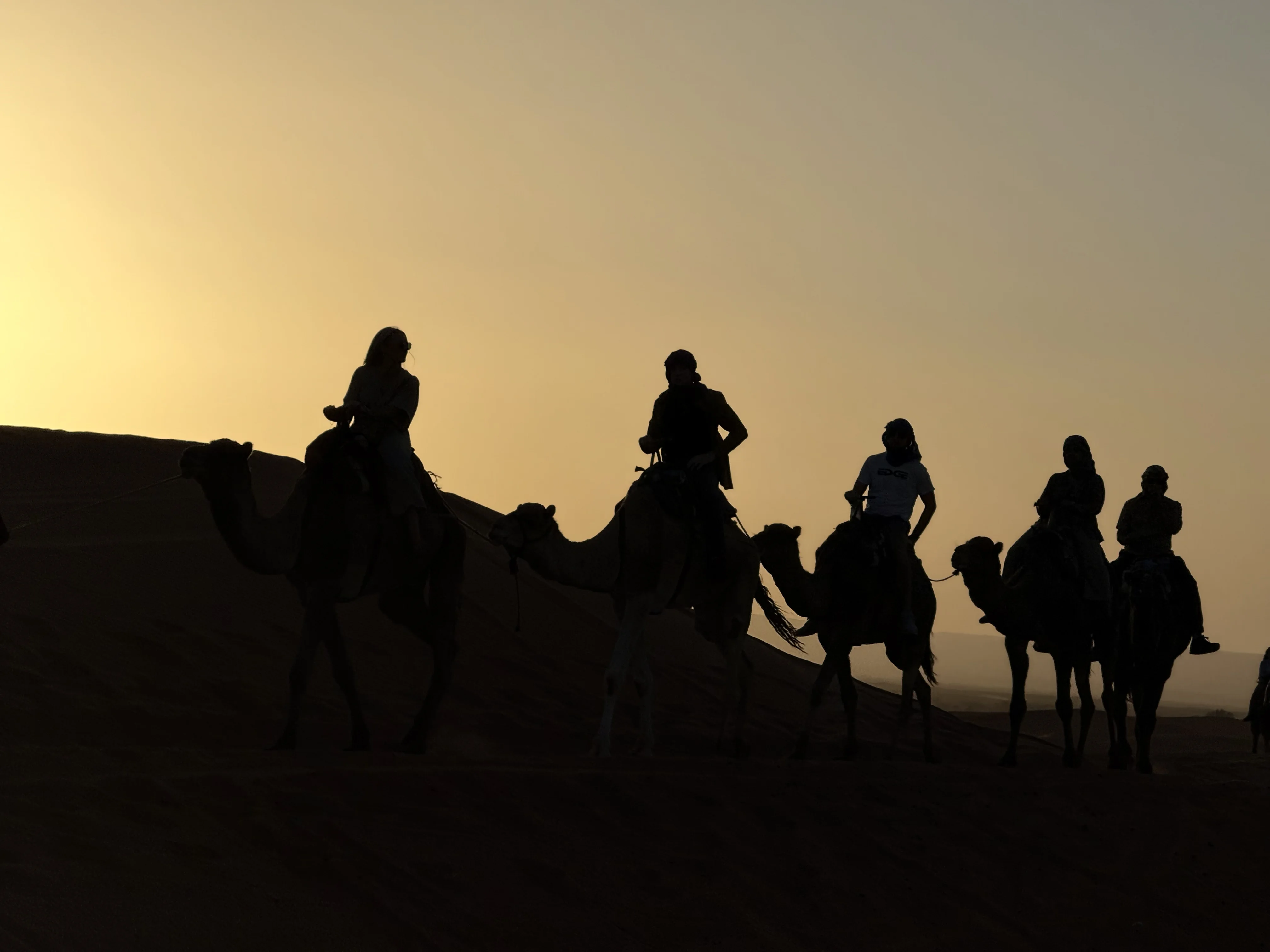 Camel caravan silhouette at sunset