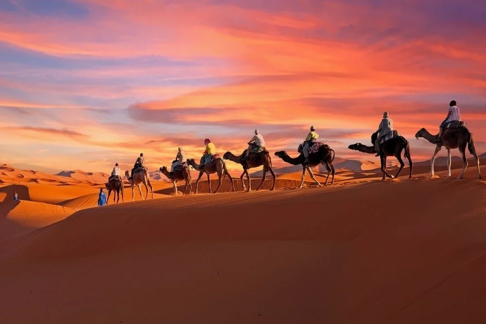 Camel caravan at sunset in the Sahara